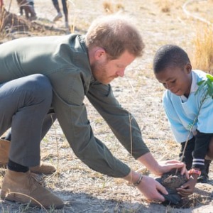 "La science sur la crise climatique est indéniable", déclare le prince Harry
