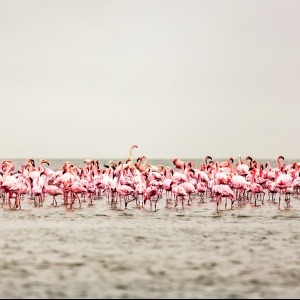 Navigation le long de la côte ouest africaine
