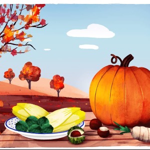 Les fruits et légumes de novembre