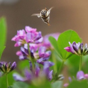 Ethiopie : Un effort pour reverdir certaines des terres les plus dégradées du monde