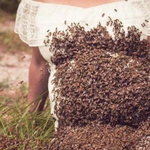 FAITS DIVERS : Vidéo  elle a posé enceinte, le ventre recouvert d’abeilles, son bébé décède à six jours du terme