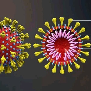 USA : premier essai clinique en cours pour un vaccin contre le coronavirus