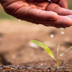 Journée mondiale de l’eau : le nucléaire au secours de l’agriculture