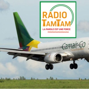 Cameroun : vers la suspension provisoire des activités de la Camair-Co