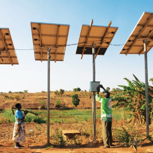 AFRIQUE : Le renouveau vert de l'Afrique s'accélère