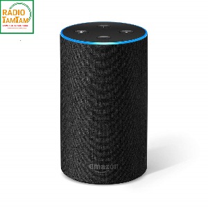 Chers auditeurs : écouter votre webradio avec une simple commande vocale grâce aux SkillsAlexa