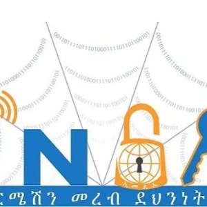 AFRIQUE 2050 :  Des pirates informatiques basés en Égypte ont tenté de cyberattaquer des sites du gouvernement éthiopien