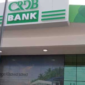 AFRIQUE 2050 :  La plus grande banque de Tanzanie envisage de se développer