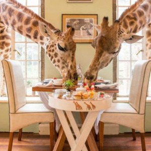 AFRIQUE 2050 :  Le secteur du tourisme du Kenya est désormais en jeu pour un marché local plus grand