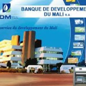 AFRIQUE 2050 :  La banque centrale du Mali bloquée hors du système financier international après le coup d'État