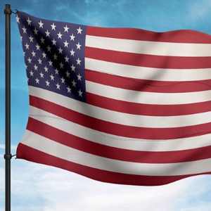 AMERIQUE : POLITIQUE Élections américaines : Microsoft a détecté des cyberattaques venant de Russie et Chine