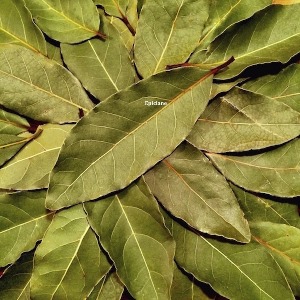 BIEN-ETRE : Laurier feuilles de Provence