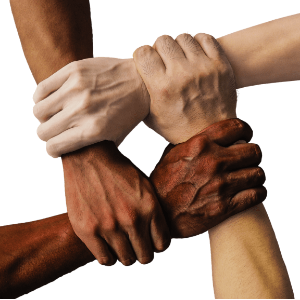 ECONOMIE BUSINESS SOLIDAIRE | L’importance du partenariat