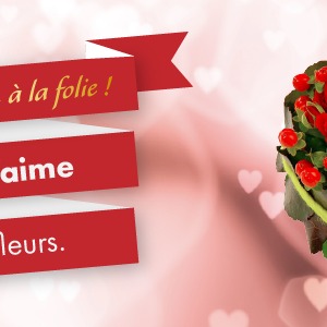 Sublimez votre Saint Valentin grâce à notre sélection spéciale !