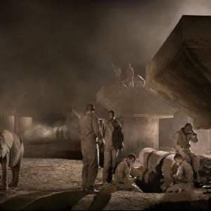 AFRIQUE2050 :  La conservation fait défaut aux collectivités qui partagent l’espace avec la faune