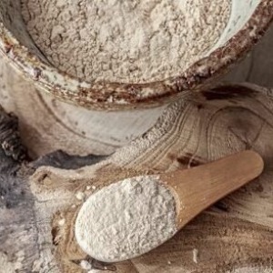 AFRIQUE2050 : Moringa, fonio, baobab... la (re)découverte des superaliments africains