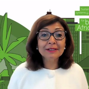 AFRIQUE2050  : Programme d'action régional pour les villes vertes récemment lancé pour l'Afrique