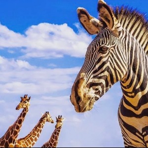 VOYAGE AFRIQUE & MONDE  : Pour aider un secteur du tourisme affaibli par la crise du Covid-19 destination selon le signe Zodiaque