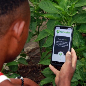 AFRIQUE2050 : Entreprises agro-technologiques axées sur la mission en Afrique que vous devriez connaître