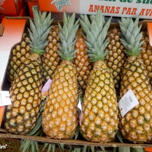 AFRIQUE2050 : Les Africains veulent une part de l'action relative aux indications géographiques