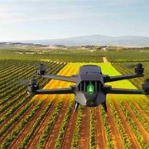 AFRIQUE2050 Agriculture 4.0 : quel futur pour les agriculteurs Africains ?