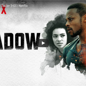 CINEMA : Les 10 meilleures séries télévisées africaines originales de Netflix