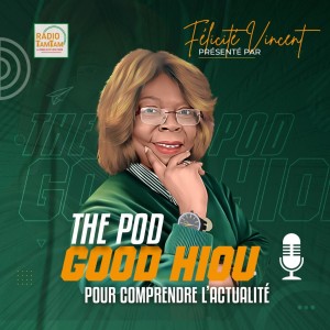 Félicité VINCENT : C'est mon travail de diversifier l'information sur l’Afrique