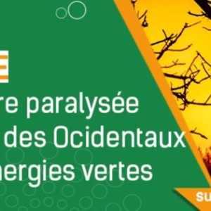 AFRIQUE :LES ENERGIES RENOUVELABLES UNE GRANDE ARNAQUE POUR LE CONTINENT AFRICAIN
