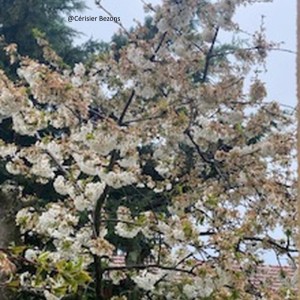 NOUVELLE SUR LA SANTE DE RADIOTAMTAM