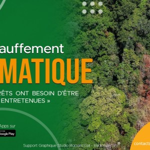 Réchauffement climatique : Nos forêts ont besoin d’être gérées et entretenues