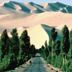 Rapport d’avancement sur la ceinture verte africaine