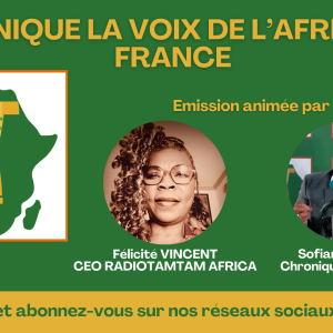 Bienvenue à LA CHRONIQUE LA VOIX DE L’AFRIQUE  EN FRANCE, votre émission dédiée aux sujets d'actualité qui font débat.