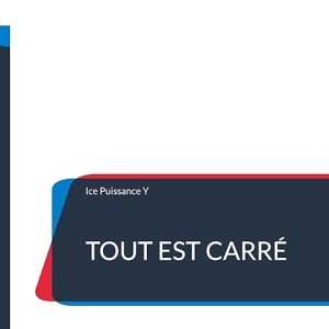 Un Livre à Offrir : "TOUT EST CARRÉ" d’Ice Puissance Y
