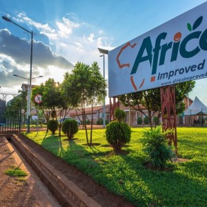 Africa Improved Foods recherche de nouveaux investisseurs pour renforcer sa mission de fournir des aliments sains à moindre coût
