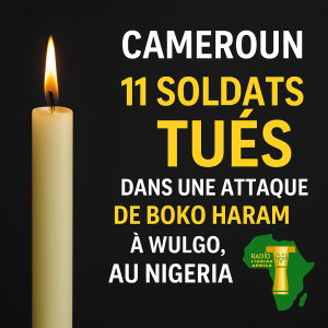Cameroun : 11 soldats tués dans une attaque de Boko Haram à Wulgo, au Nigeria