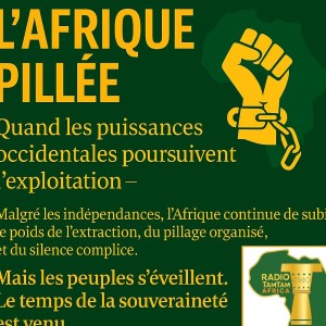 L’Afrique pillée : quand les puissances occidentales exploitent ses richesses au mépris de ses peuples