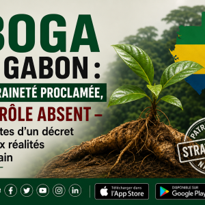 Iboga au Gabon : souveraineté proclamée, contrôle absent