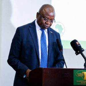 Guinée : le projet de port en eaux profondes de M'Botini franchit une nouvelle étape