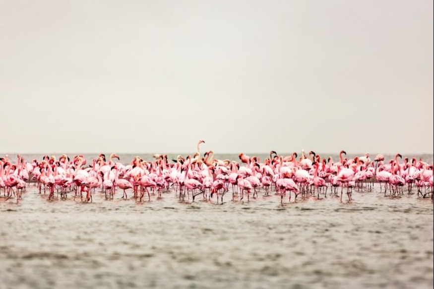 Navigation le long de la côte ouest africaine