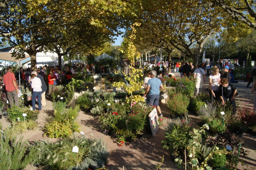 France : Chers auditeurs, chers tous de la Commune  Saint-Gély-du-Fesc