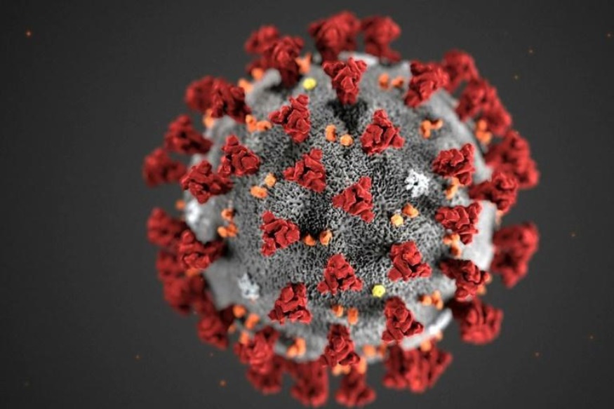 SANTE : Coronavirus  la Cedeao opte pour une synergie des forces