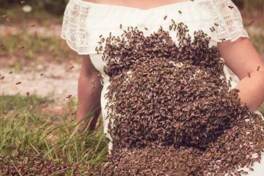 FAITS DIVERS : Vidéo  elle a posé enceinte, le ventre recouvert d’abeilles, son bébé décède à six jours du terme