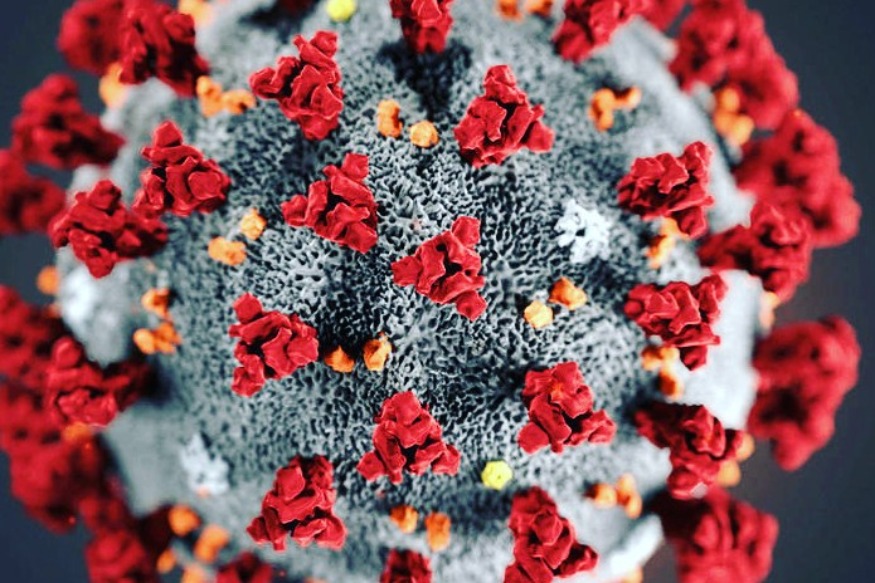 AFRIQUE : Coronavirus le nombre de cas en Afrique devrait augmenter