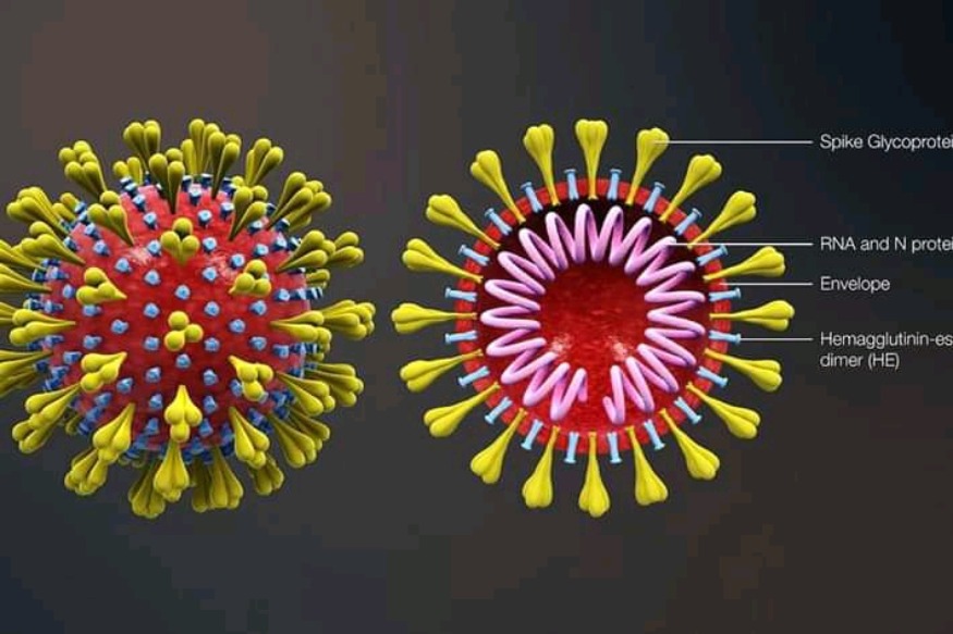Coronavirus : au moins 884 décès dans les Ehpad, 4503 morts à l’hôpital