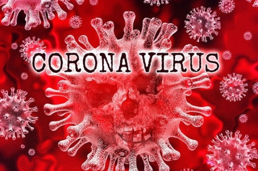 EXCLUSIF : Les Sociétés gagnantes du Coronavirus