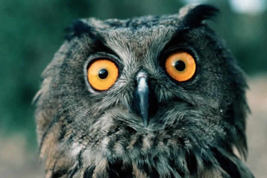 FAITS DIVERS : «Par ma faute, la sorcellerie a ruiné ma famille et ma vie…», les révélations choquantes d’une femme