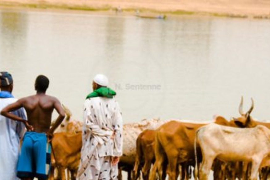 AFRIQUE : Niger, l’interdiction de la prière violemment contestée