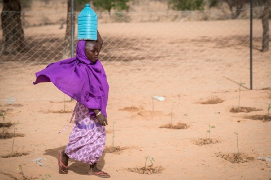 AFRIQUE Lutte contre la faim au Sahel : pour l’engagement des bailleurs de fonds