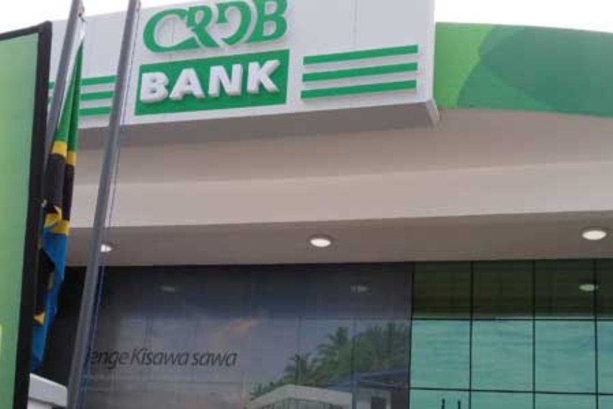 AFRIQUE 2050 :  La plus grande banque de Tanzanie envisage de se développer