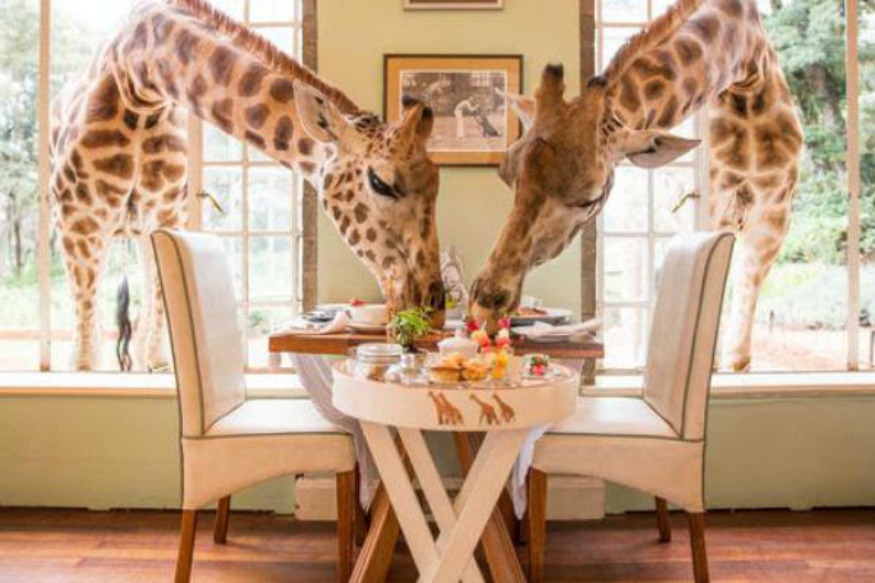 AFRIQUE 2050 :  Le secteur du tourisme du Kenya est désormais en jeu pour un marché local plus grand